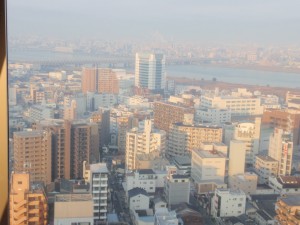 さくら見えない