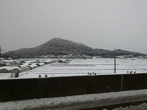 雪景色