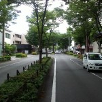 雨のち雨